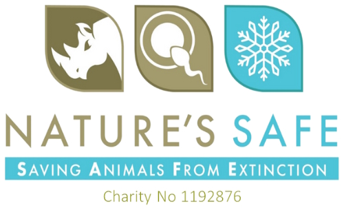 Nature's Save Animals From Extinction text and logo of Rhino head, sperm and ice