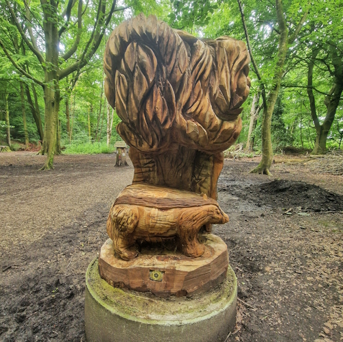 WOoden badger in woods