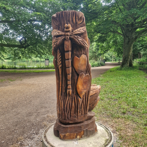 Wooden dragonfly and tulips, in woods