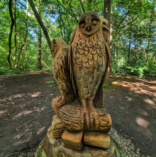 Two wooden owls, in woods