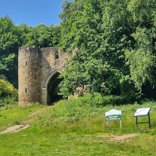 Castle partly obscured by a tree