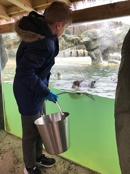 Feeding the penguins