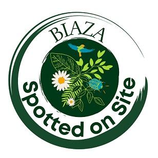 Nature's Save Animals From Extinction text and logo of Rhino head, sperm and ice