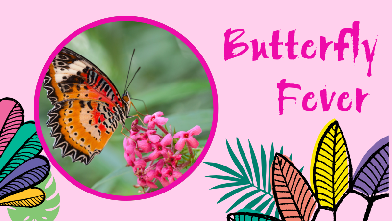 Image of a butterfly on a shrub, with the text Butterfly Fever