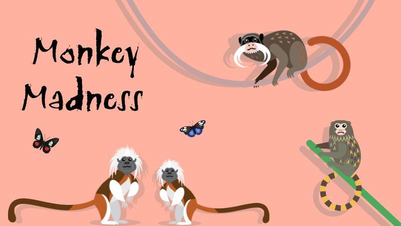 Monkey illustrations