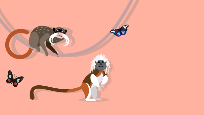 Graphic of monkeys 