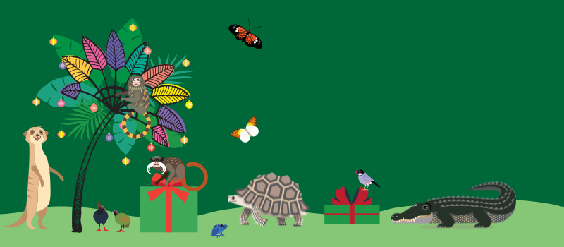 Illustrations of Tropical World animals