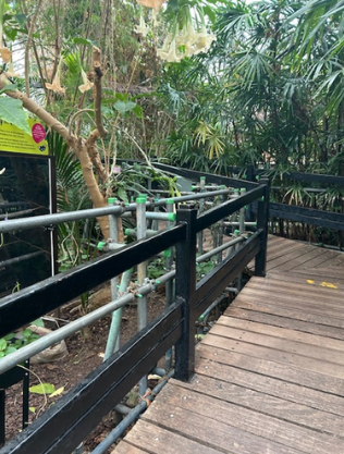 Walkway with scaffolding up