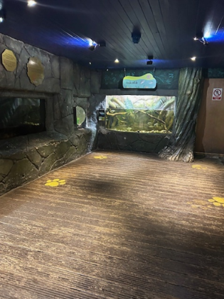 Low level lighting aquarium