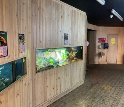 Entrance to Butterfly House