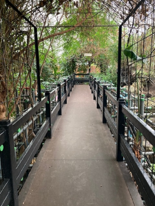 Walkway with greenery