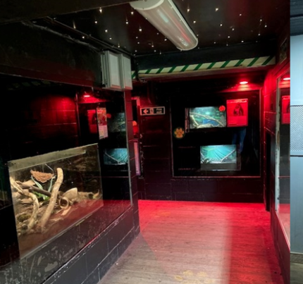 Dark section of Creature Cavern at Tropical World