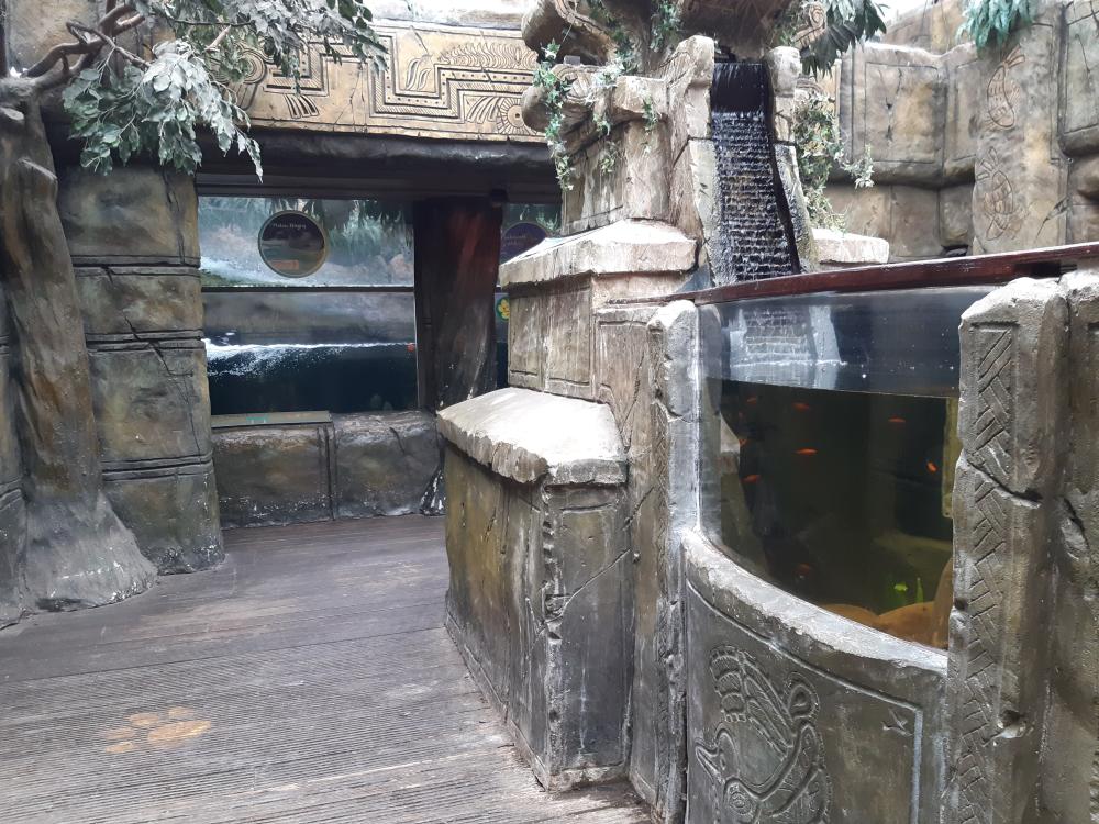 Aquarium tanks