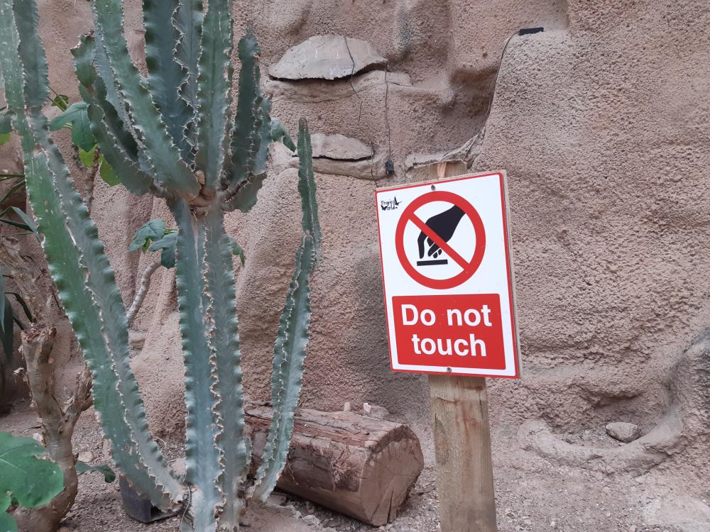 Do not touch signage next to cactus