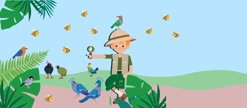 Graphic of birds, bees and explorer