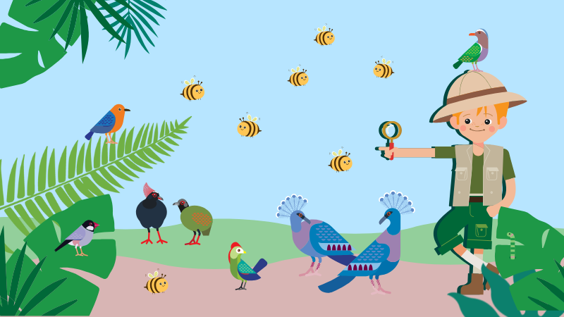 Graphic of birds, bees and explorer