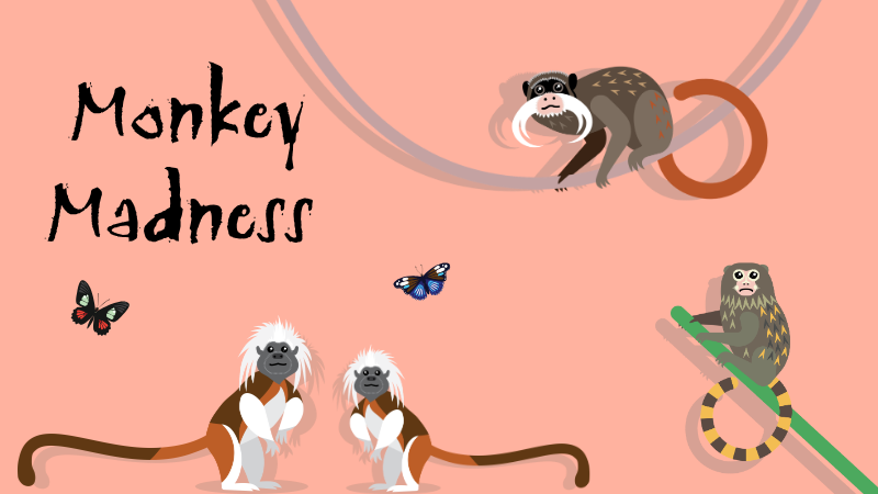 Illustrations of monkeys and butterflies